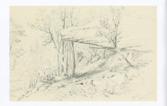 1859 pencil sketch by Conrad Martens showing what the bushland would have looked like before colonisation (From book Taken for Granted)